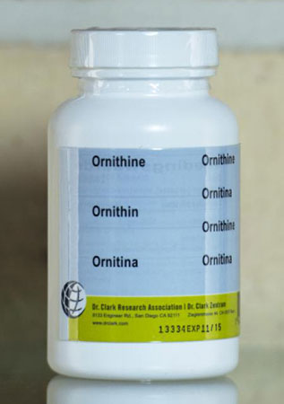 Ornitina
